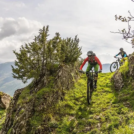 Alpin A 200m Des Pistes Pour 6 Génos