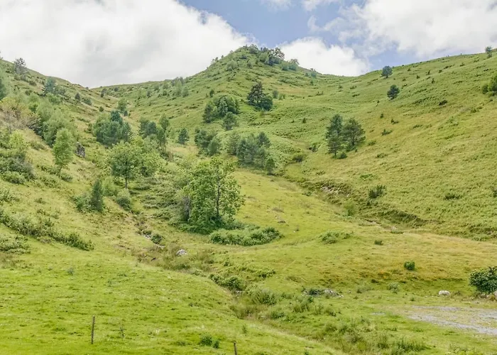 Alpin à 200m Des Pistes Pour 6 Génos
